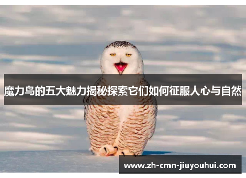 魔力鸟的五大魅力揭秘探索它们如何征服人心与自然 魔力鸟的五大魅力揭秘探索它们如何征服人心与自然